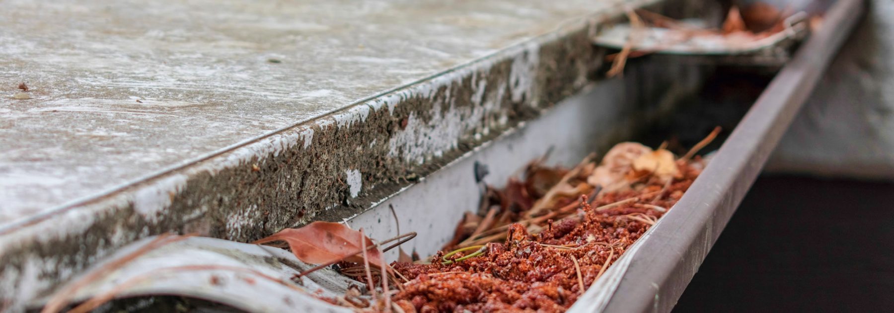 Gutter Cleaning Newcastle Upon Tyne Specialised Services for