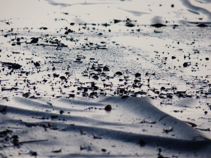 Grasping the Different Types of Moisture in Industrial and Commercial Roofs