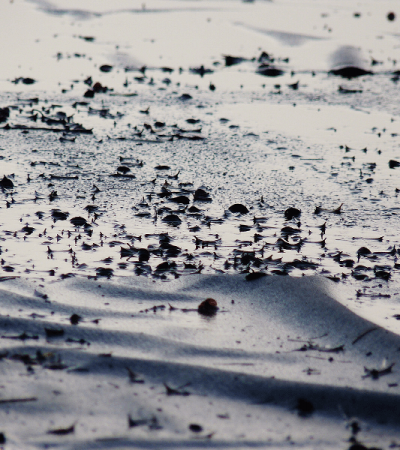 Grasping the Different Types of Moisture in Industrial and Commercial Roofs