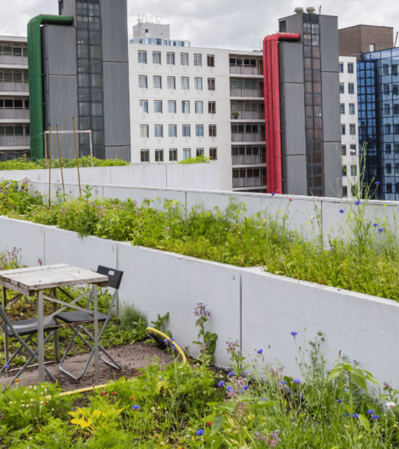 The Role of Sustainability in Educational Building Roofs